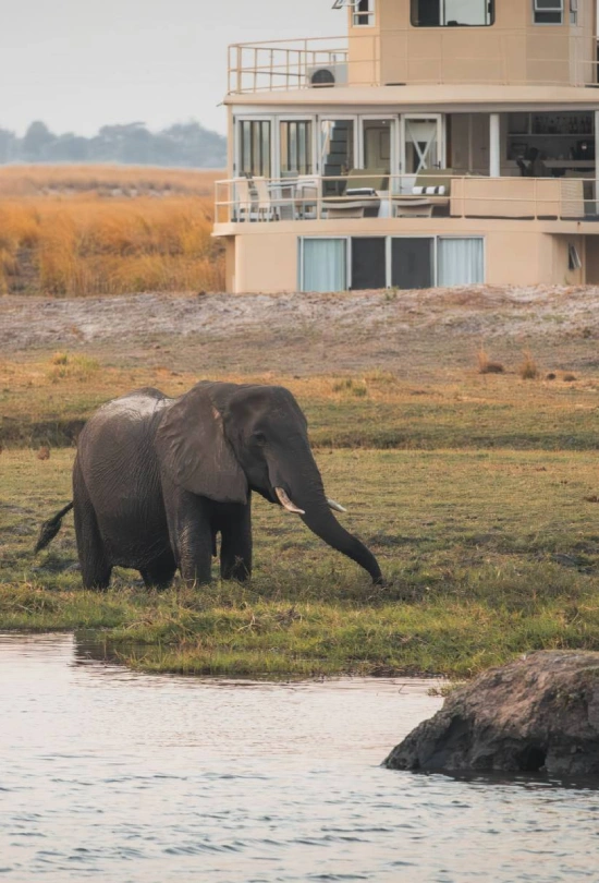 3-nights-chobe-princess-by-mantis-3