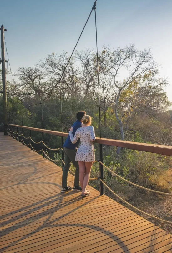 3-nights-jabulani-safari-honeymoon-special-5