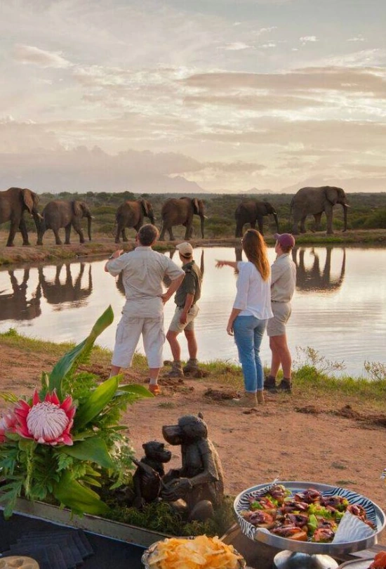 3-nights-jabulani-safari-honeymoon-special-6