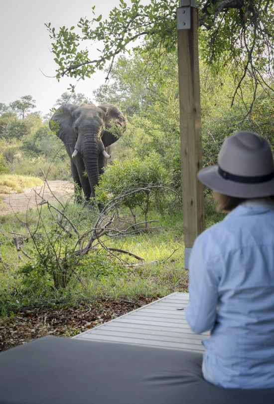 3-nights-simbavati-waterside-lodge-2