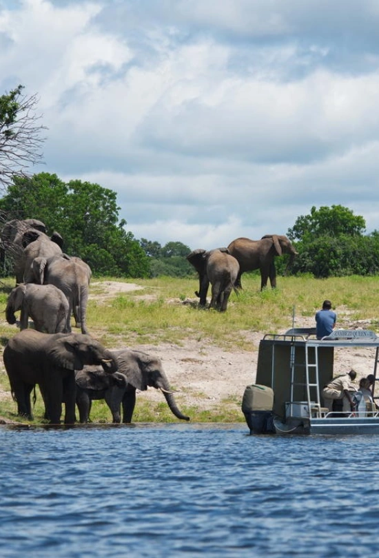 3-nights-zambezi-queen-collection-5
