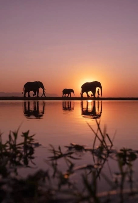 4-nights-jabulani-safari-lodge-3