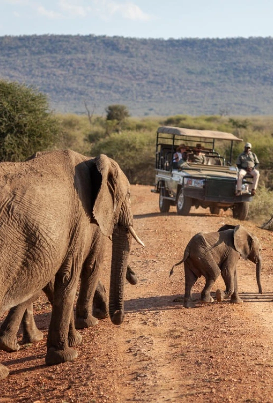 madikwe-hills-private-game-lodge-special-2