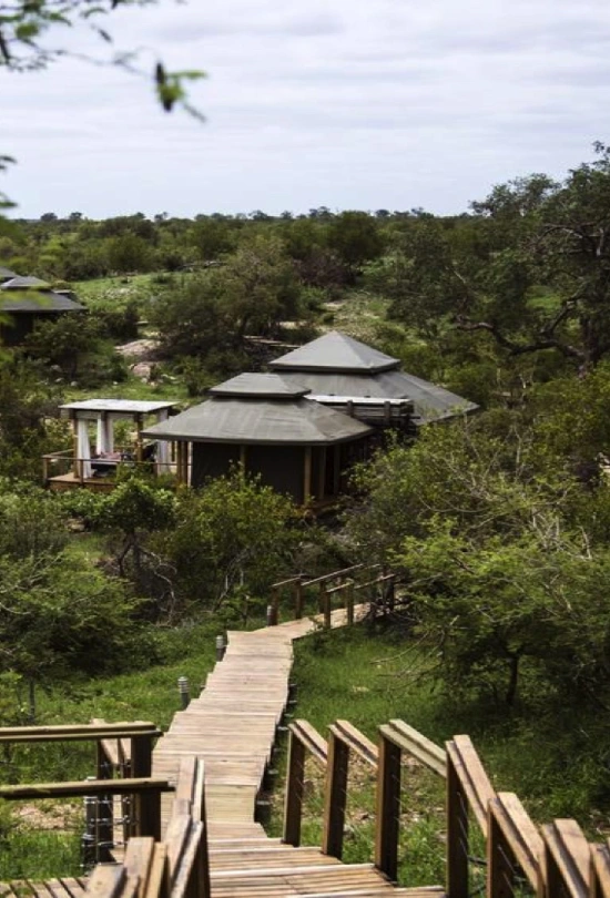 simbavati-lodge-combo-specials-2