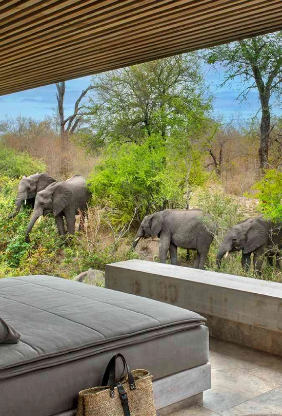 stay-4-nights-pay-for-3-or-stay-7-nights-pay-for-5-5