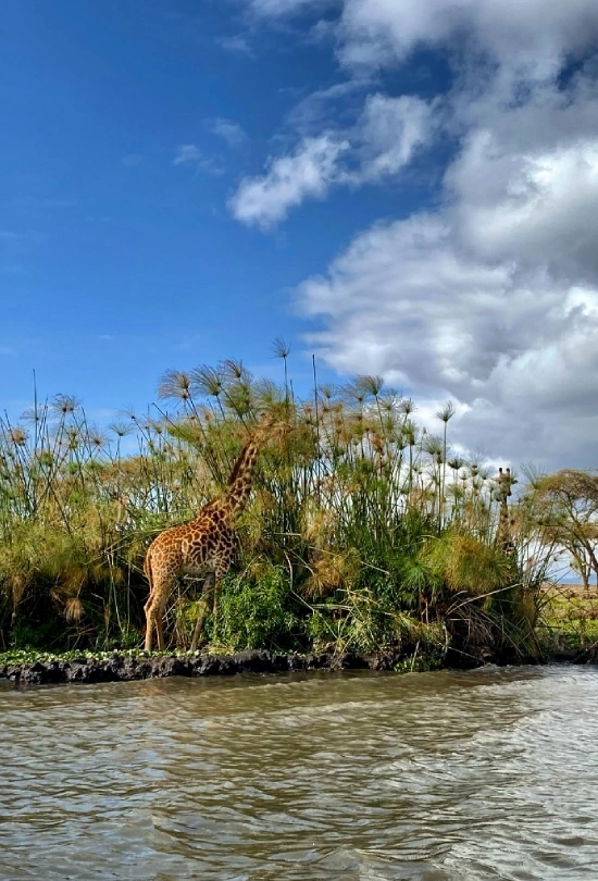 12-days-kenya-bush-and-beach-experience-15