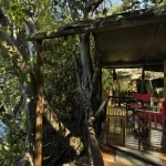 12-days-southern-africa-safari-adventure-12