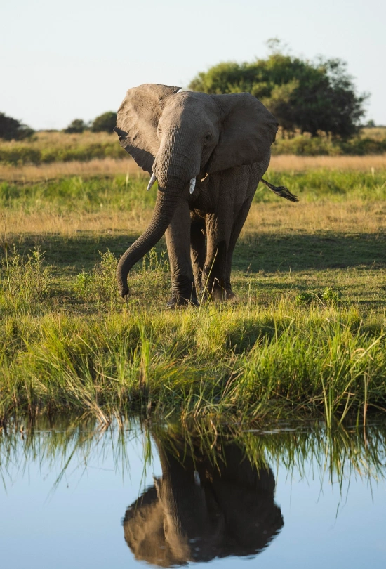 12-days-southern-africa-safari-adventure-6