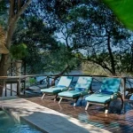 13-days-south-africa-holiday-safari-15