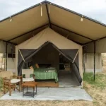 13-days-tanzania-safari-and-zanzibar-island-adventure-16