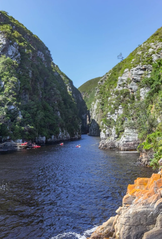 14-days-cape-town-garden-route-and-shamwari-safari-tour-7