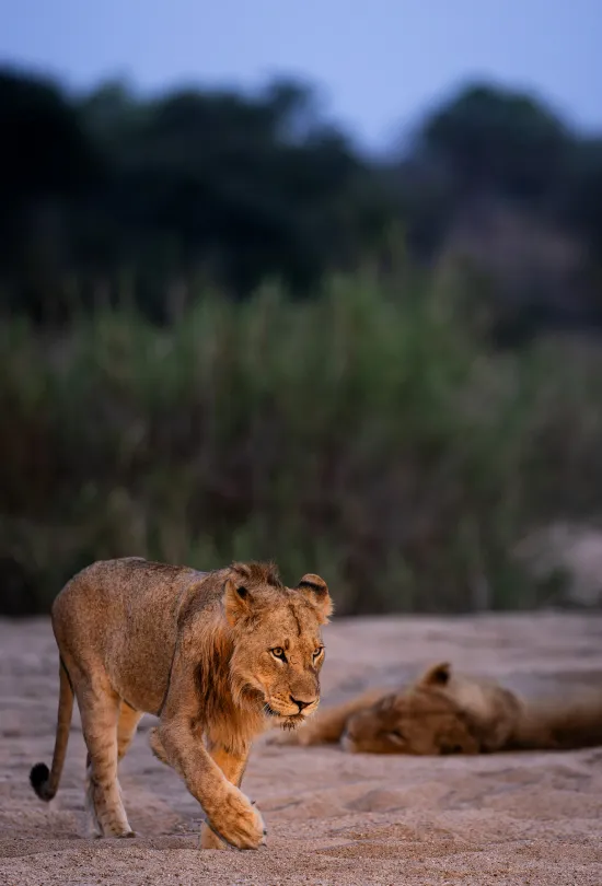 Exploring In Sa, Zimbabwe & Botswana Attractions