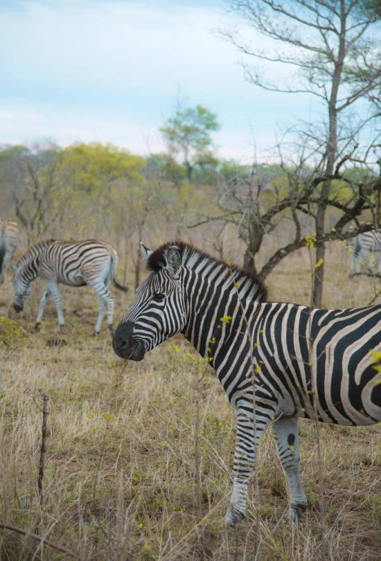 16-days-sa-zimbabwe-and-botswana-adventure-11