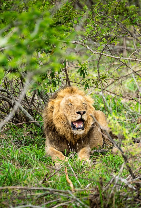 16-days-sa-zimbabwe-and-botswana-adventure-12