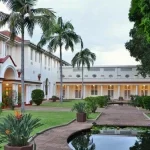 18-days-ultimate-south-africa-safari-12