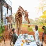 6-nights-of-authentic-safari-luxury-and-unique-wildlife-experiences-10