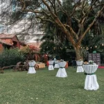 6-nights-of-authentic-safari-luxury-and-unique-wildlife-experiences-13