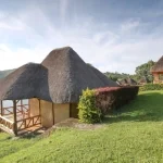 7-days-gorilla-trekking-experience-11