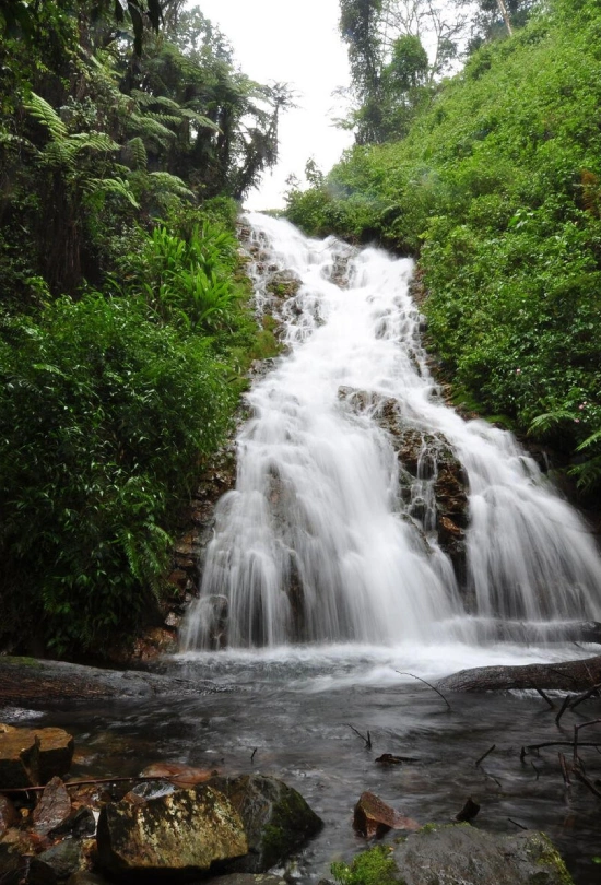 7-days-gorilla-trekking-experience-9