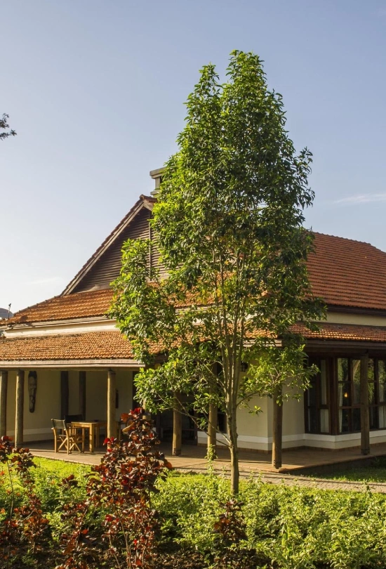 8-days-tanzania-safari-and-cultural-journey-12