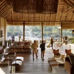 9-days-londolozi-varty-camp-and-lion-sands-signature-safari-13