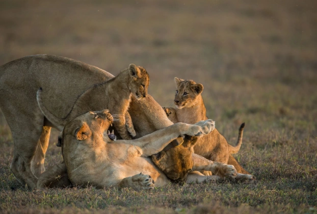 17-days-zimbabwe-botswana-and-mozambique-adventure-1