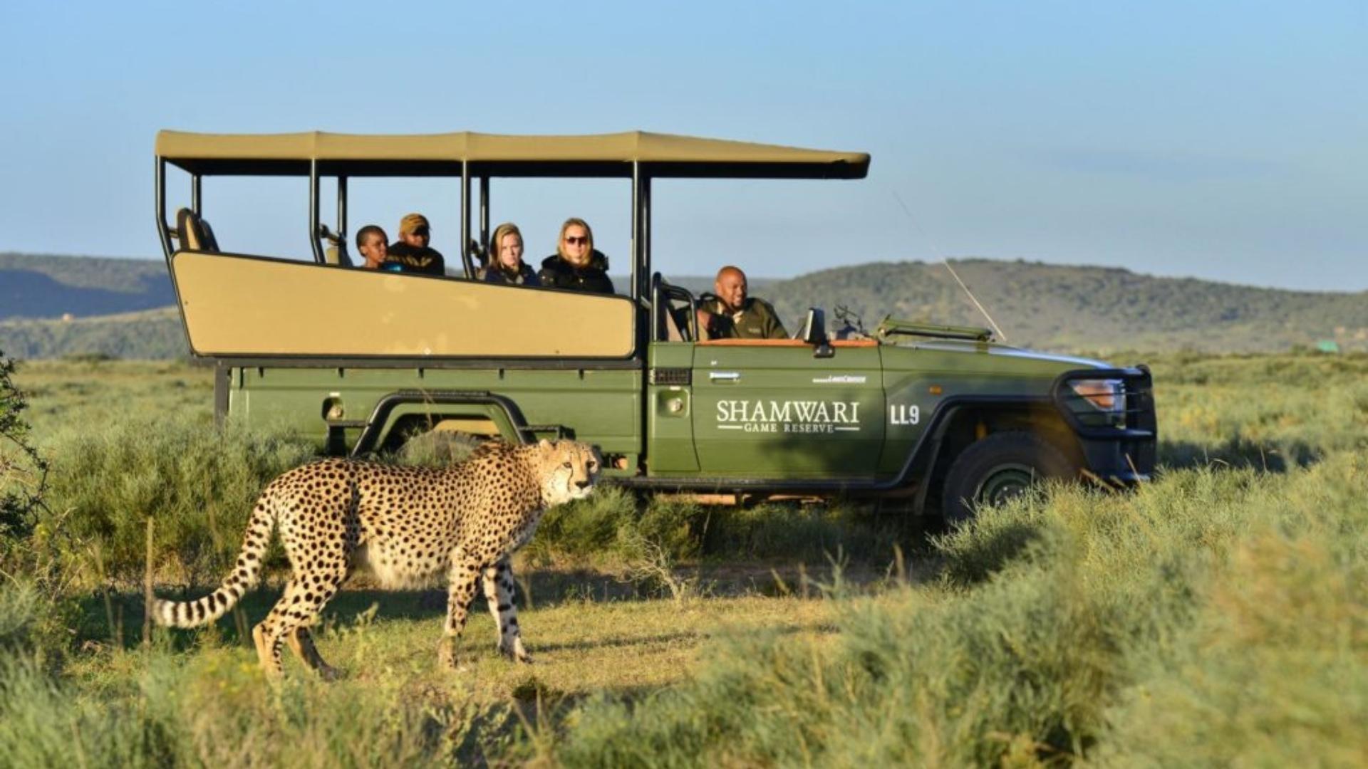Shamwari